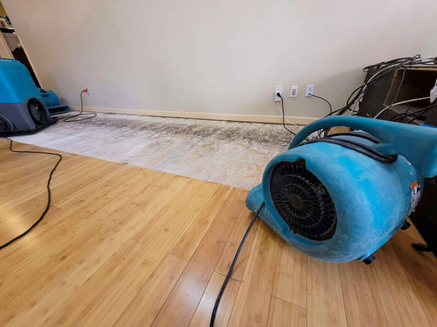 Professional Flood Damage Cleanup technician working in Pikeville, TN